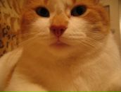 Фотография Гавриловой Олеси