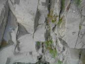 Христина Вівчарик фотография #19 (источник - https://vk.com/id56368437)