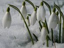 Оля Славінська фотография #19 (источник - https://vk.com/id131841084)