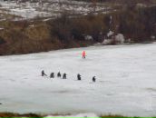 Фотография Гардаушенко Дмитрия