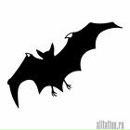 Фотография Бука Демида