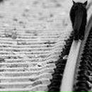 Сергій Сидоренко фотография #42 (источник - https://vk.com/id81606312)