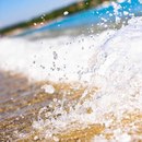 Міша Фомін фотография #21 (источник - https://vk.com/id192166576)