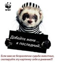 Валерій Осадовський фотография #13 (источник - https://vk.com/id145561969)