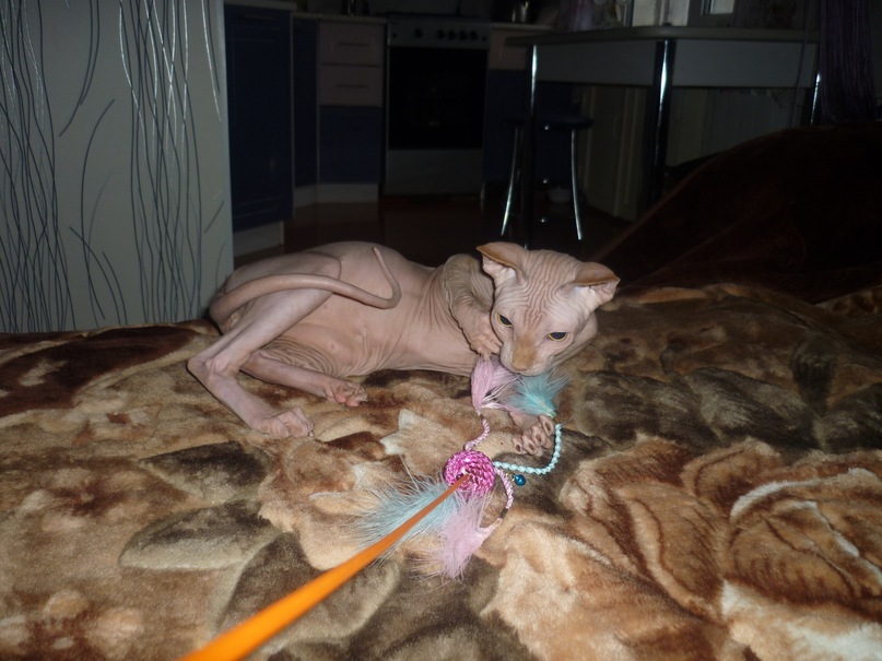 Дмитрий Дмитрий фотография #38