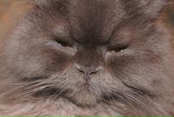 Фотография Ишутовой Натальи