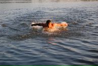 Фотография Коромыслова Андрея