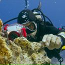 Фотография Мельникова Дмитрия