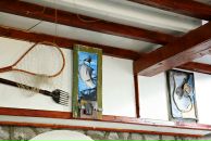 Дмитрий Старицын фотография #26 (источник - https://vk.com/id4635430)