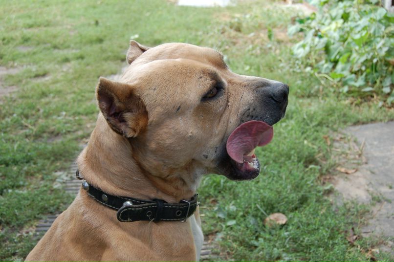 Виктор Руденко фотография #29