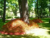 Елена Марковская фотография #23 (источник - https://vk.com/id4057570)