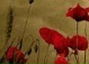 Лілія Герман фотография #3 (источник - https://vk.com/id23667763)