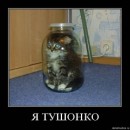 Фотография Петрова Павла