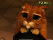 Фотография Зевеке Сергея