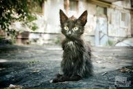 Фотография Konovalov Michael