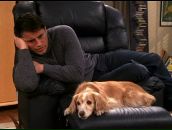 Фотография Ермолаева Андрея