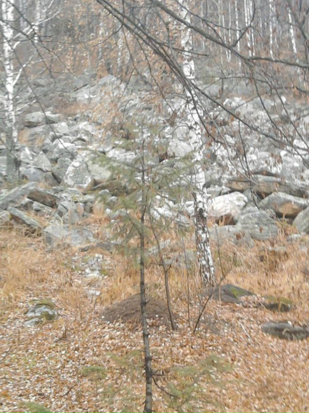 Павел Синицын фотография #39