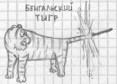 Дима Панкратьев фотография #3 (источник - https://vk.com/id1922208)