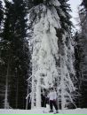 Андрій Голинець фотография #29 (источник - https://vk.com/id15395780)