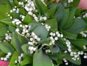 Фотография Лёминой Ирины