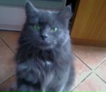 Фотография Шинкевич Екатерины