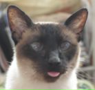 Фотография Воробьева Павла