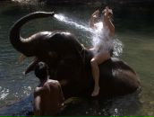 Фотография Никольского Николая