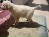 Богдан Кісик фотография #15 (источник - https://vk.com/id24502044)