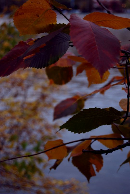 Гера Бартенев фотография #27