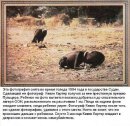 Володя Коптілий фотография #10 (источник - https://vk.com/id55305783)