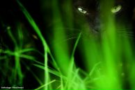 Фотография Муждаба Мирон