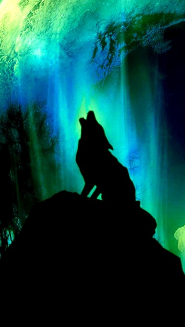 Эльдар Каримов фотография #41