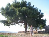 Фотография Вороновой Екатерины