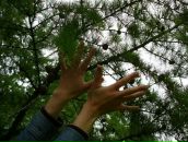 Фотография Ланды Марии