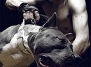 Tayson Pitbul=jermani фотография #18 (источник - https://vk.com/id70604395)