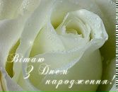 Марія Зелененька фотография #22 (источник - https://vk.com/id72817908)