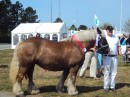 Ігор Подаш фотография #14 (источник - https://vk.com/id25517573)