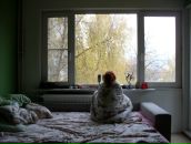 Фотография Терентьев Александр