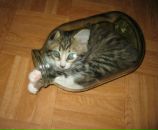 Фотография Дынника Максима