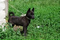 Вероніка Попозогло фотография #19 (источник - https://vk.com/id74244264)