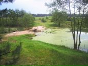 Валерія Тукаш фотография #50 (источник - https://vk.com/id71944780)