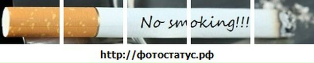 Фатима Цгоева фотография #50 (источник - https://vk.com/id1867501)