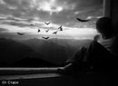 Іра Панасюк фотография #9 (источник - https://vk.com/id144655546)