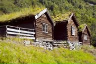 Дарья Горячева фотография #22 (источник - https://vk.com/id209705)