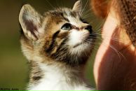 Фотография Смирновой Елены