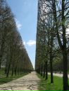 Аріна Петрашенко фотография #34 (источник - https://vk.com/id6162856)
