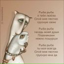 Stew Boy фотография #34 (источник - https://vk.com/id657597)