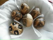 Сергій Ясницький фотография #7 (источник - https://vk.com/id46259623)