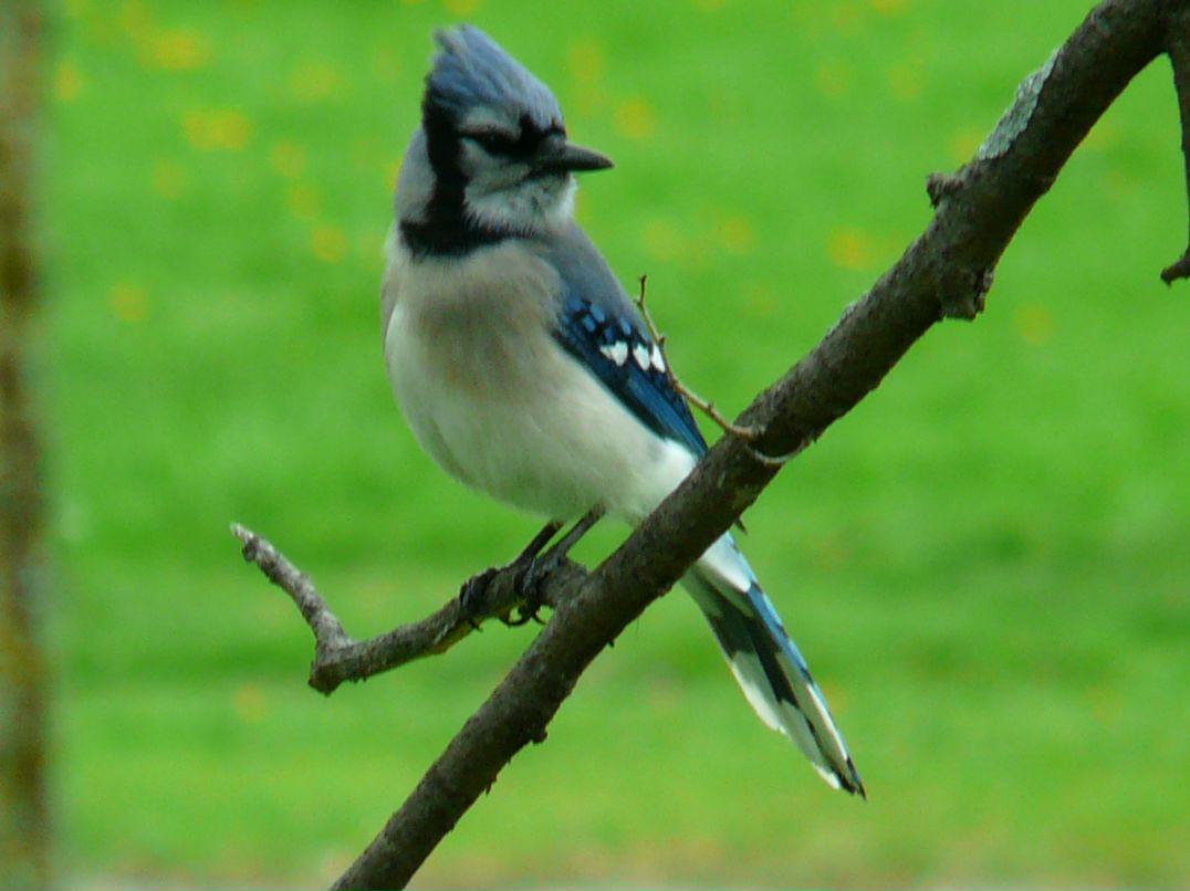 Валерия Ли фотография #48