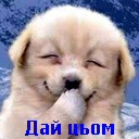 Софія Головко фотография #41 (источник - https://vk.com/id141791590)